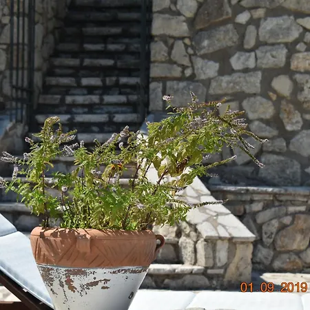 Estate Dafnopanagia Luxury Ourania * Kariá